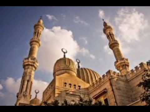 صلاة العشاء بمسجد العلامية سدود منوف الشيخ محمد العادلي الخميس 14 شعبان 1446ه 13 فبراير 2025م
