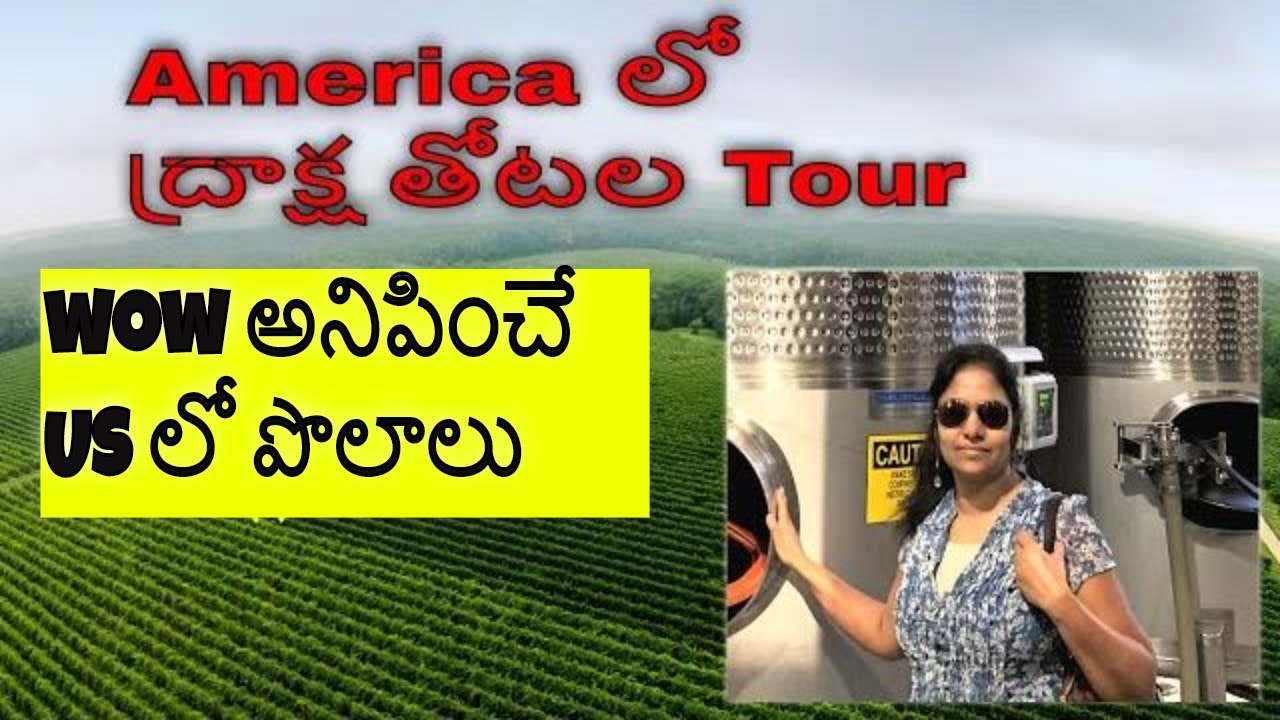 Grape gardens/Vineyards in US|| US Agriculture|| MUST WATCH FOR NATURE LOVERS||Telugu Vlogs from US