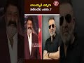 NBK109 అప్‌డేట్: బాలయ్య అన్నగా టాప్ స్టార్! #balakrishna #nbk109  | Beyond Politics