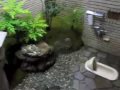 Classy Japanese Toilet