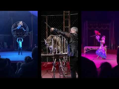 Поход в цирк. Цирк ишимбай. Цирк шапито кинешма. Цирк лоррус. Цирк шапито в салавате 2022.