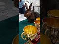 Выставка животноводства, кролик Рэкс