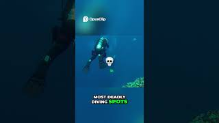 Egypt's Blue Hole Diver Cemetery's Deadly Secrets Revealed