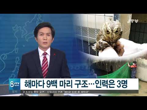 [<strong>JTV</strong> 8뉴스] <strong>2019</strong>. 01. 07 (월)