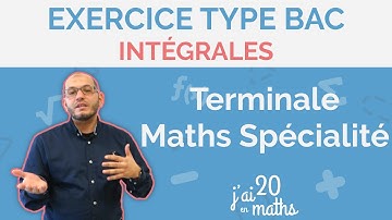 Intégrales - Exercice Type Bac - Terminale Maths Spécialité