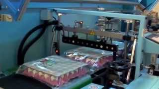 Sk 500 Hareketli Çene Shrink Continuous Motion Shrink Egg Packaging Yumurta Paketleme