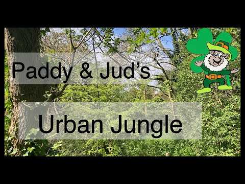 Paddy & Jud's Urban Jungle - Spring has sprung...feeding time in the wild.