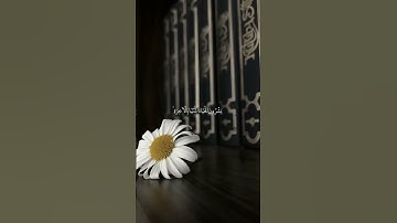 لَيْتَنِي كُنتُ مَعَهُمْ فَأَفُوزَ فَوْزًا عَظِيمًا (73) ۞سورة النساء: 73-74 القارئ #ماهر_المعيقلي