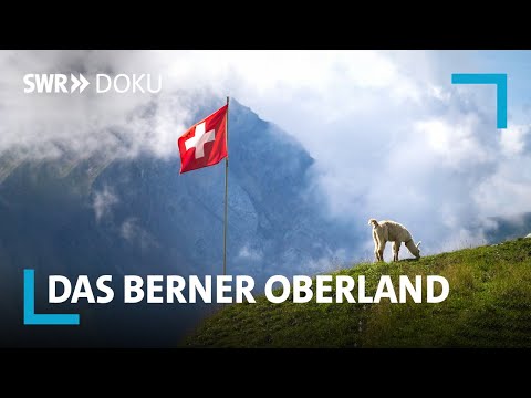 Video: Kleines Ferienhaus mit spektakulärem Blick über die Schweizer Berge