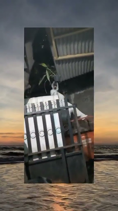 story wa|bangunin orang sahur|ada pocongnya 😱😱