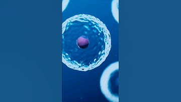 "Life Seeds: Sowing the Universe