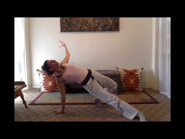 Flip your Dog...with a Twist!