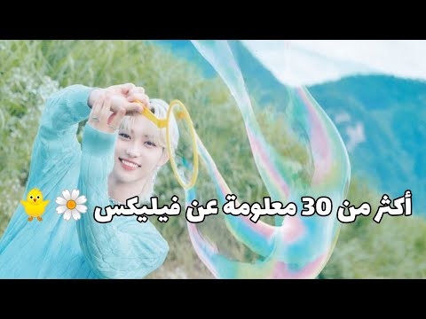 تقرير معلومات عن فيلي عضو فرقة ستراي كيدز    