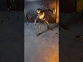 Posing Session: Spider man 2 Black Suit #spiderman #symbiote #venom #spiderman2ps5 #spiderman2