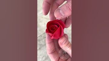 Thumbnail of The Eternal Rose! #amauryguichon #rose #chocolate #viral #shorts #shortvideo #mashallah