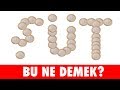 BU NE DEMEK? - Fotoğraflı Soğuk Espri Yarışması