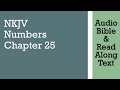 Numbers 25 NKJV Audio Bible Text