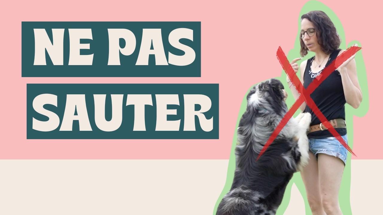 Empêcher son chien de SAUTER - Technique SANS VIOLENCE !!