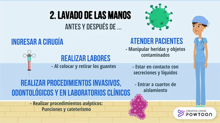 Bioseguridad: Precauciones Isabella Minervini