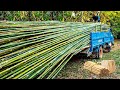 How to processing millions bamboos to product  straws bamboo houses plywood chopstick factory