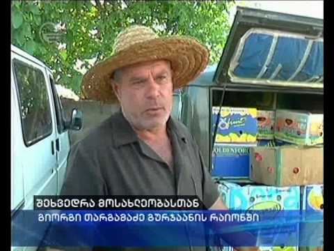 გიორგი თარგამაძე ხელისუფლებას წინასაარჩევნო დაპირებების შესრულებისკენ მოუწოდებს