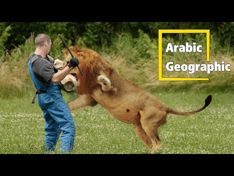 أقوي عضة حيوان في العالم الحيوانات والحياة البرية