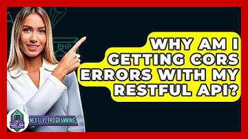 Why Am I Getting CORS Errors With My RESTful API? - Next LVL Programming