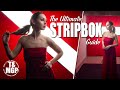 The ultimate stripbox guide  take and make great photography with gavin hoey