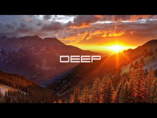 DEEP XIV [Adriatique, Nora En Pure, Rüfüs Du Sol, Cassian, Rodriguez Jr. and more] by markQ class=