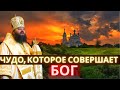 Чудо которое совершает Бог. Проповедь Владыки Лонгина