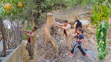 🪵 How we made a fence for the yard with tree trunks | Simple life in the village
