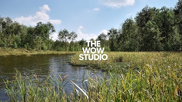 Unreal Engine 5 - TWS - PCG Broadleaf Forest Biome - workflow teaser