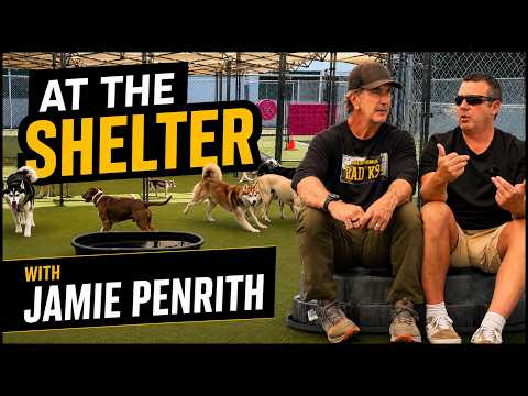 Shelter Dogs, Dog Trainers & Training Issues with Jamie Penrith