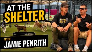 Shelter Dogs, Dog Trainers & Training Issues with Jamie Penrith