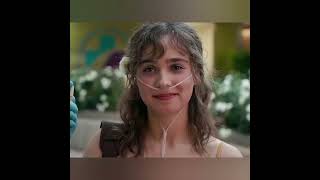 Pawcio - Ukryte Piękno Pawcioblend