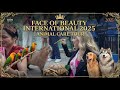 Face of Beauty International 2025 | Animal Cafe in Taiwan