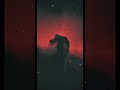 Reprocessed my Horsehead Nebula capture #space
