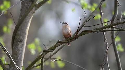 𝗪𝗘 𝗔𝗥𝗘 𝗥𝗘𝗠𝗢𝗩𝗜𝗡𝗚 𝗜𝗡𝗔𝗖𝗧𝗜𝗩𝗘 𝗣𝗘𝗢𝗣𝗟𝗘 😊𝗔𝗡𝗗 𝗔𝗖𝗧𝗜𝗩𝗘 𝗣𝗘𝗢𝗣𝗟𝗘 𝗣𝗟𝗘𝗔𝗦𝗘...𝗦𝗔𝗬 𝗬𝗘𝗦 😊#GoodMorningdinalismyfavouri