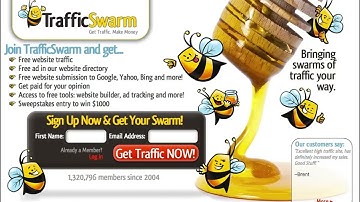 Video 8 - Free Traffic From Traffic Exchanges