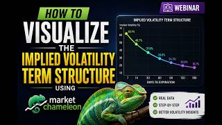 How To Visualize the Implied Volatility Term Structure Using Market Chameleon