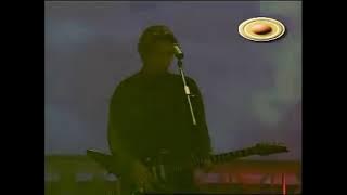 Thế giới không tình yêu- Hollywood y