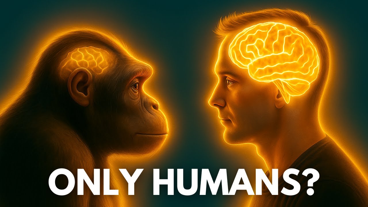Why Are Humans the Only Smart Animals?