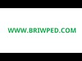 BRIWPED Password Manager chrome extension