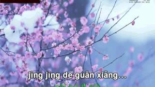Cung dưỡng ái tình karaoke beat 爱的供养伴奏