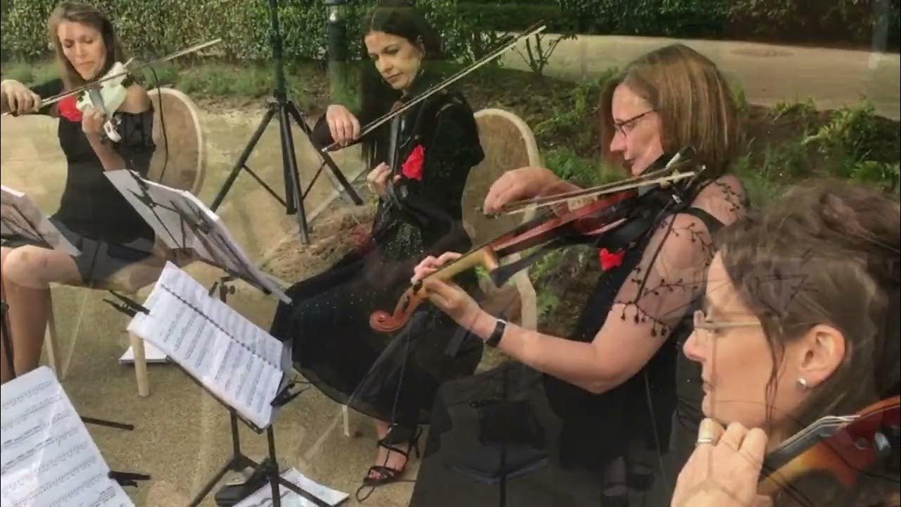 Electric String Quartet YouTube