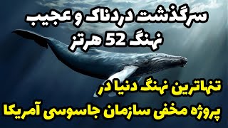سرگذشت دردناک و عجیب نهنگ 52 هرتز؛ تنهاترین نهنگ دنیا در پروژه مخفی سازمان جاسوسی آمریکا!