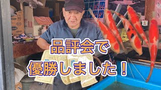 自家産大正三色優勝しました！！