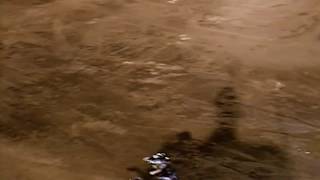 Famous Blood Line The Life and Times of Brian Deegan   Official Trailer Profile