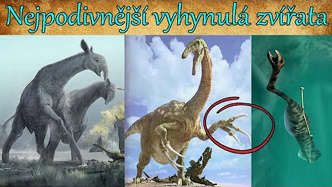 Můžeme si připomenout 7 vyhynulých druhů zvířat?