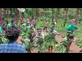 Tribal dance full tribaldance tribal coorg youtubeviral